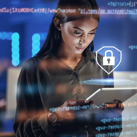 Whypro security shutterstock 2329333365