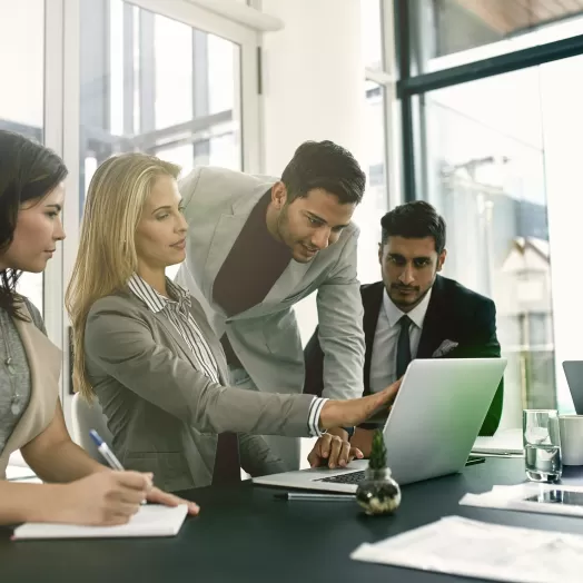 Professional Features and Highlights 1a